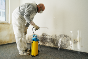 A man in white coveralls spraying water on the wall.